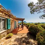 Castanza Porto Istana *