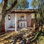 Castanza Porto Istana