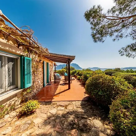 Castanza Porto Istana *