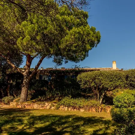 Castanza Porto Istana